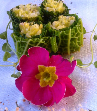 CABBAGE SUSHI-STYLE with HAZLENUT SPRINKLE for ST. VALENTINE’S DAY