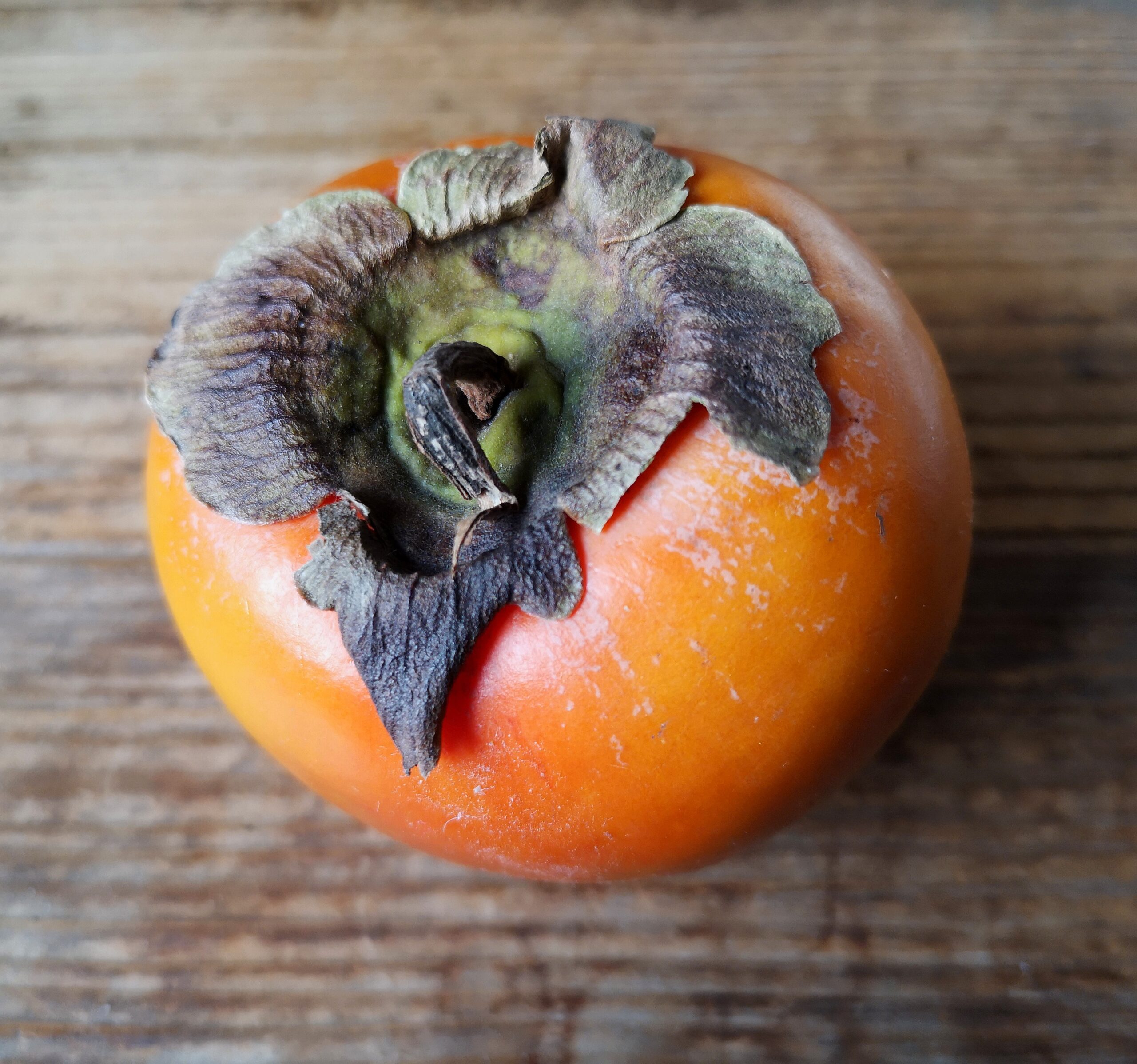 A QUICK & EASY PERSIMMON RECIPE